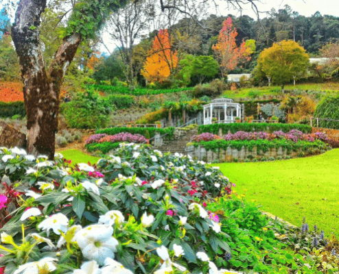 Le Jardin Parque De Lavanda Gramado Blog